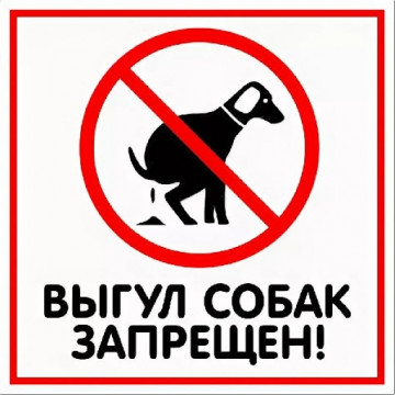 Выгул домашних животных