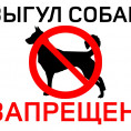 Выгул домашних животных