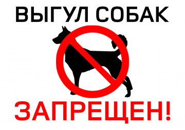 Выгул домашних животных